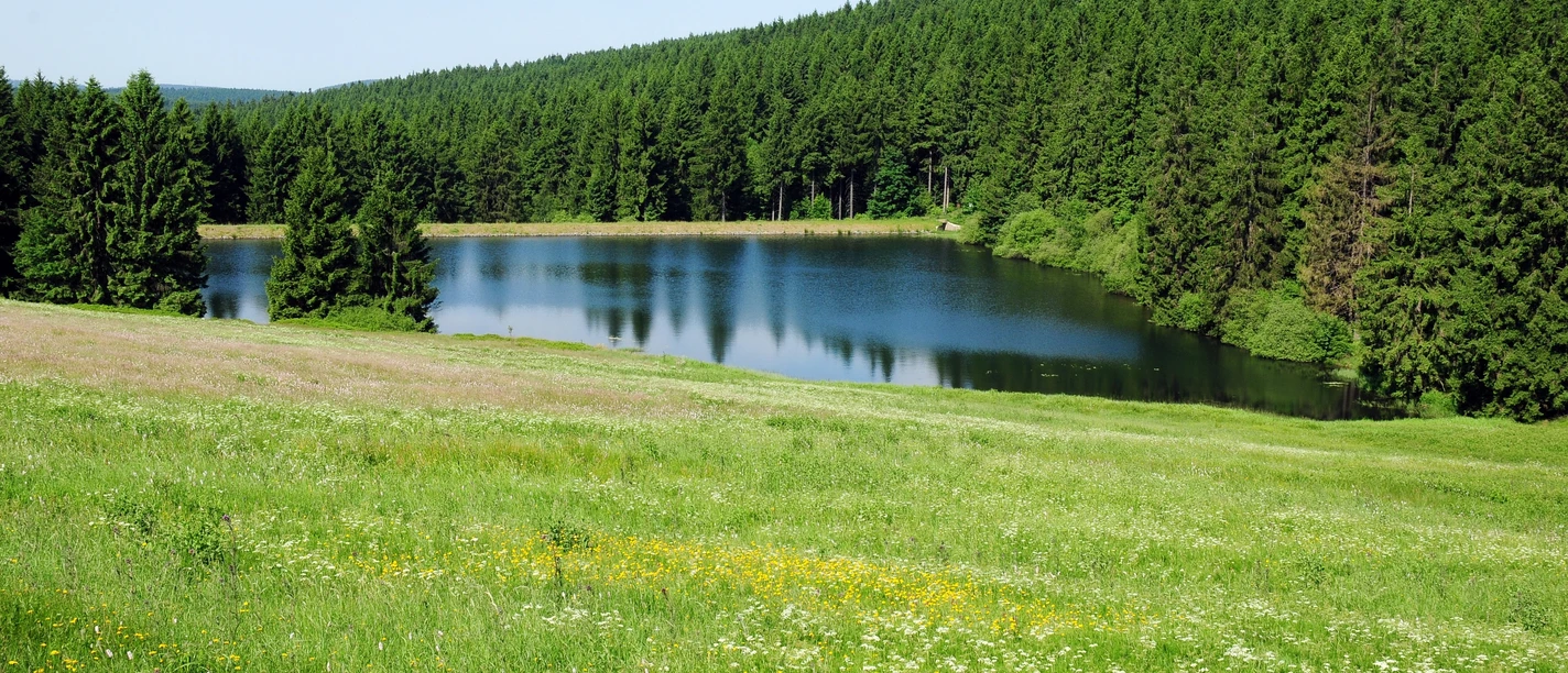 Heilklima-Wandern