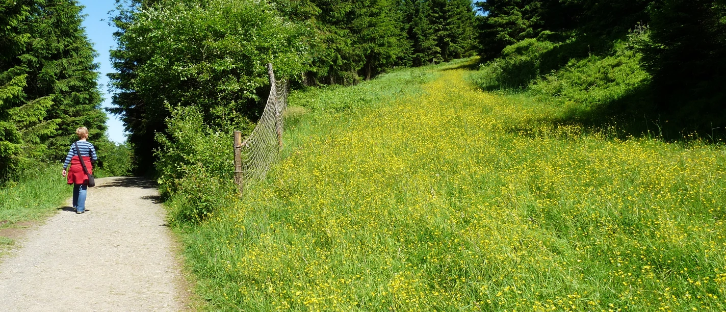 Breite Wege ohne große Steigungen