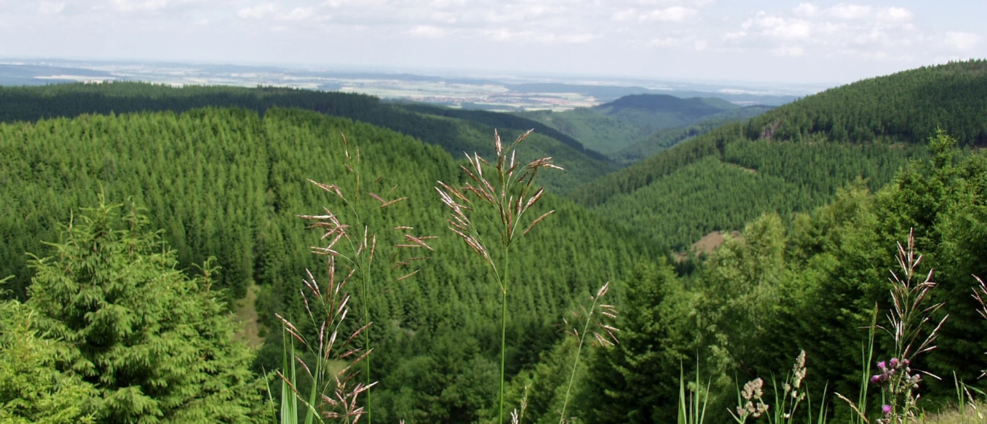 Heilklima-Wandern