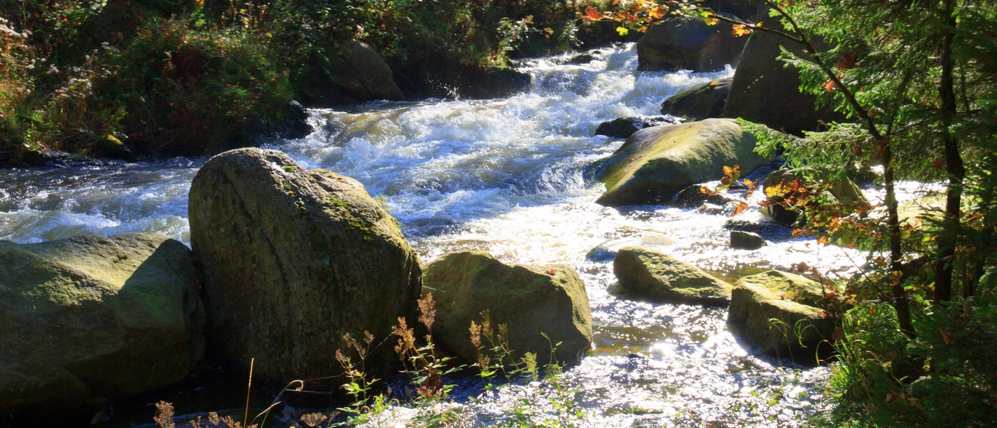Stromschnellen der Oker