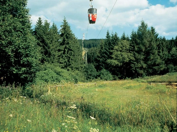 Mit der Kabinenseilbahn geht es hinauf zum Bocksberg.