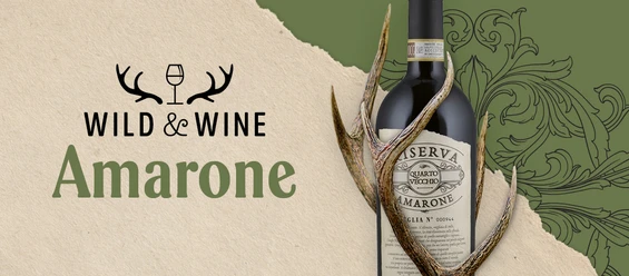 26 10 Wild Wine Amarone Anzeigebilder Vinum 1140x500