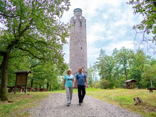 Schildbergturm in Schildau