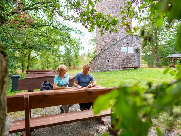 Schildbergturm in Schildau