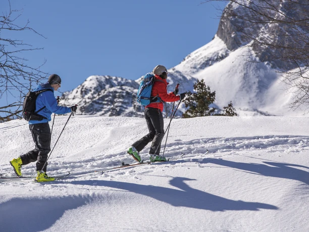 Skitour zum Kranzberg