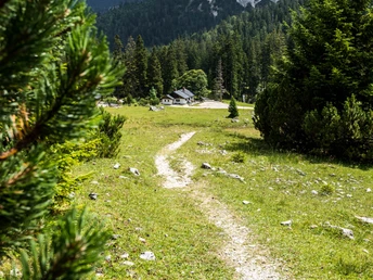 Krinner-Kofler Hütte und Vereiner Alm
