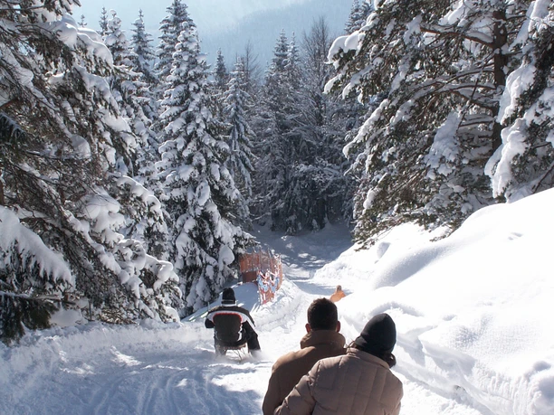 Rodeln vom Kranzberg