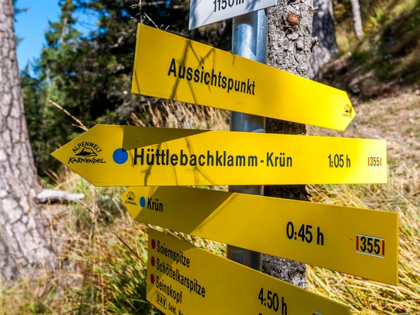 Hüttlebachklamm vom Schwarzkopf aus