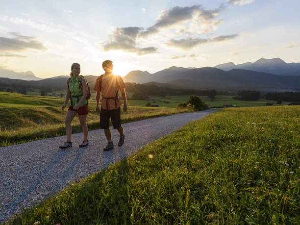 Buckelwiesen Abendstimmung