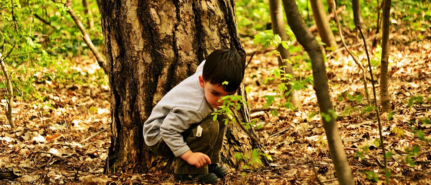child-770464_1920