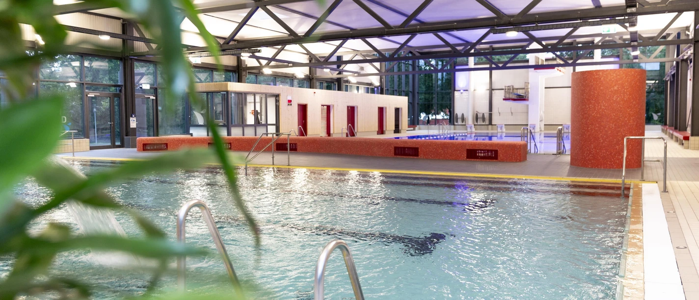 Innenbecken im Lohfeld Bad mit Leitern, Pflanzen im Vordergrund und moderner Schwimmhalle