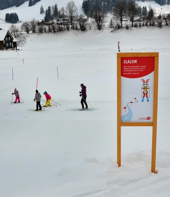 Bolzli_Slalom_Erich_Schoenbaechler.jpg