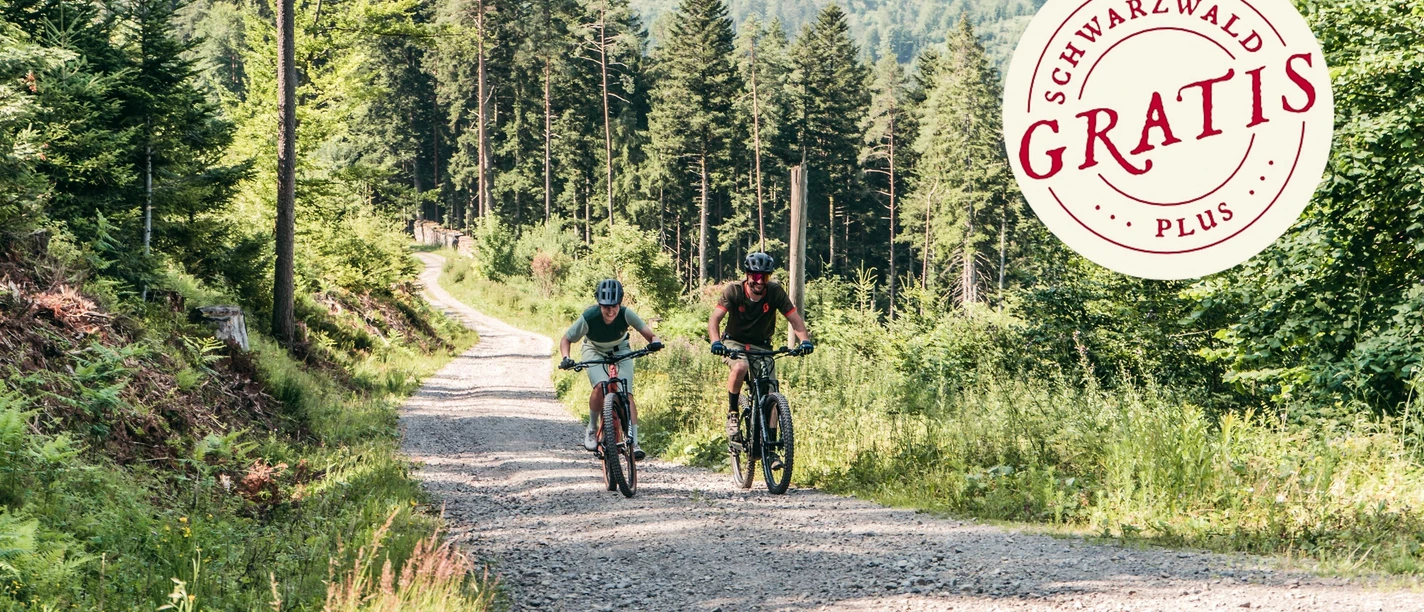 Vor dem downhill kommt der uphill