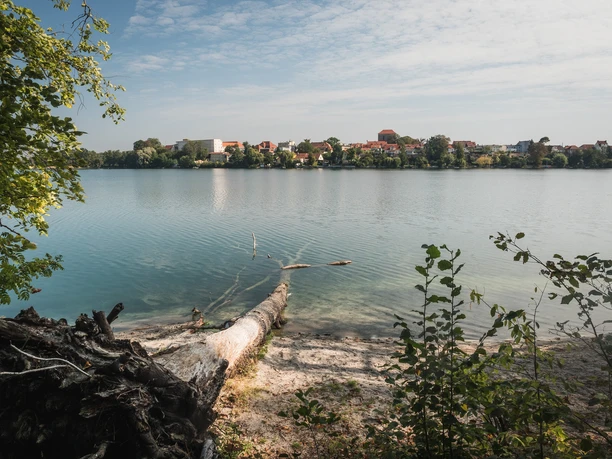 Straussee