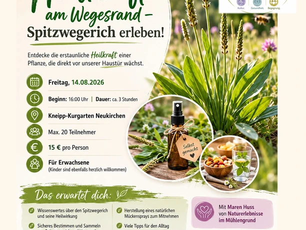 Workshop Spitzwegerich
