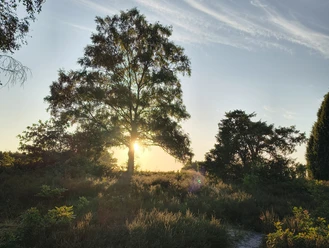 Schnuckenweg Südheide Wahrenholz.jpg
