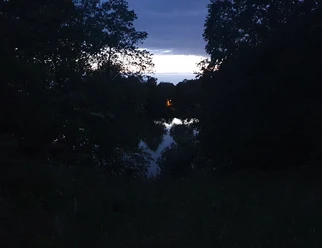 Die verborgene Welt der Nacht