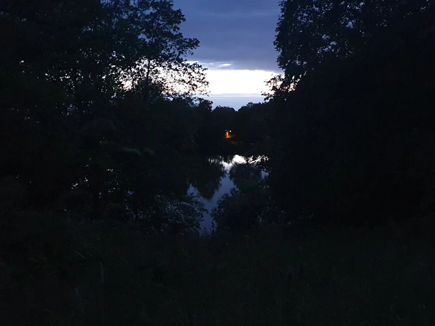 Die verborgene Welt der Nacht