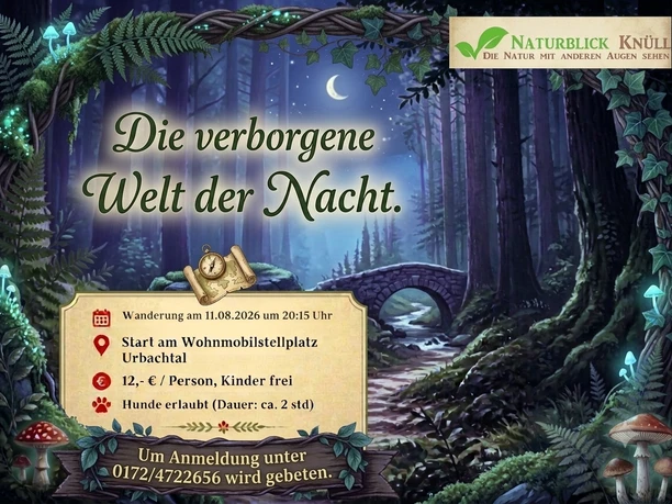 Nachtwanderung
