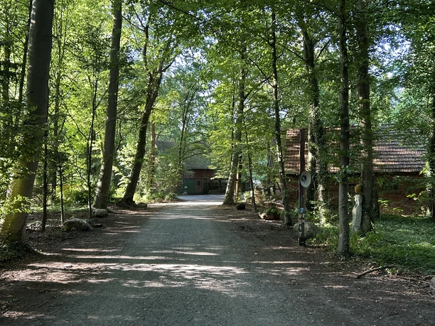 Eselsweg Schattiger Waldweg am Eselsweg mit hohen Bäumen und Gebäuden im Hintergrund.