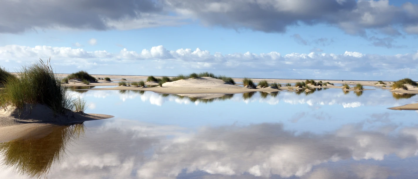 Wattenmeer