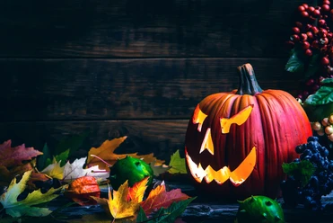 Halloween-Kürbis Leuchtender Halloween-Kürbis mit grimmigem Gesicht zwischen buntem Herbstlaub