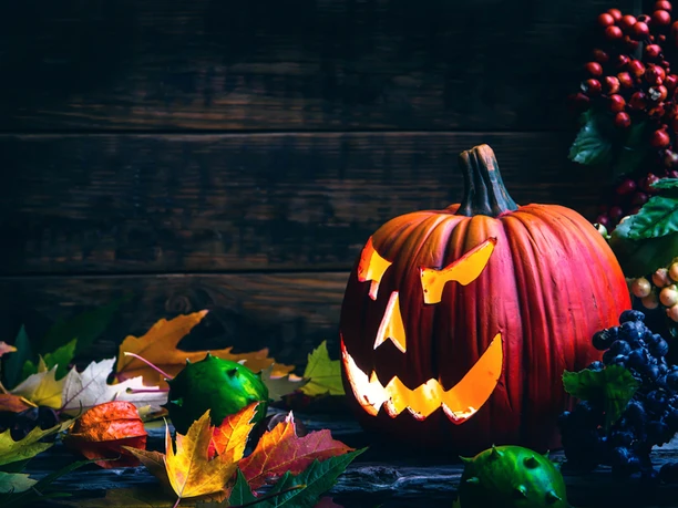 Halloween-Kürbis Leuchtender Halloween-Kürbis mit grimmigem Gesicht zwischen buntem Herbstlaub