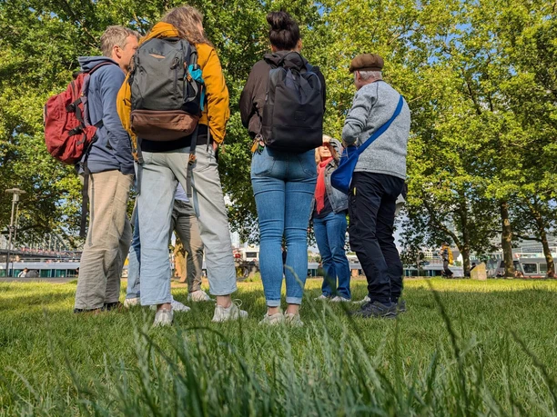 Großstadtdschungel am Kölner Dom Teilnehmende einer Führung stehen auf einer Wiese unter grünen Bäumen in Köln