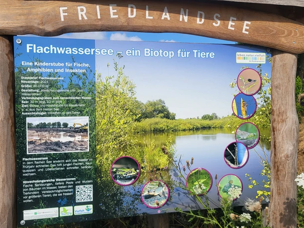 Friedlandsee, Esterwegen ©Naturpark Hümmling (1).jpg