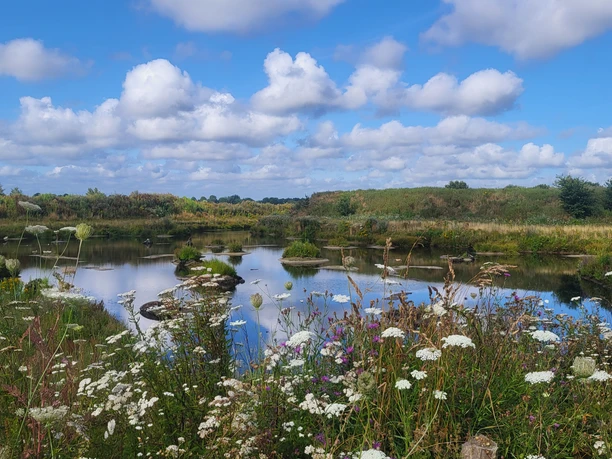 Friedlandsee, Esterwegen ©Naturpark Hümmling (8).jpg