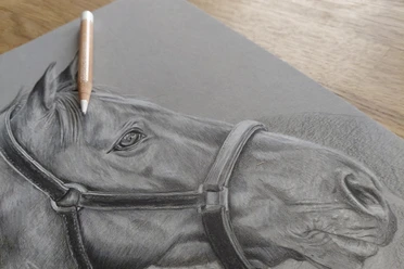 Pferd in Bleistift
