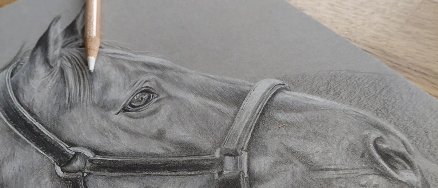 Pferd in Bleistift
