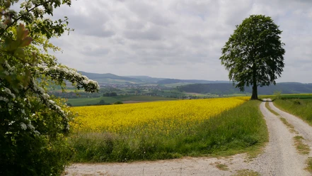 Landschaft in Groß Berkel