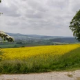 Landschaft in Groß Berkel