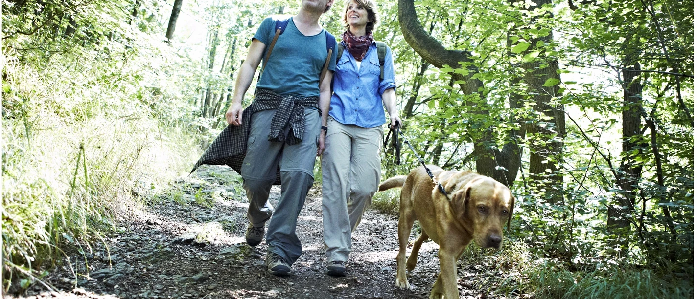 Wandern mit Hund