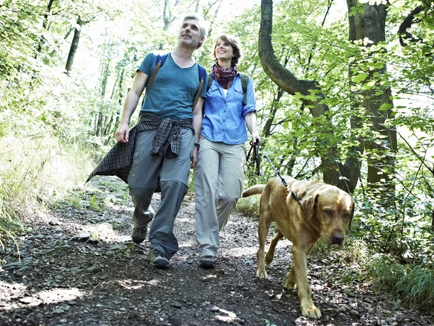 Wandern mit Hund