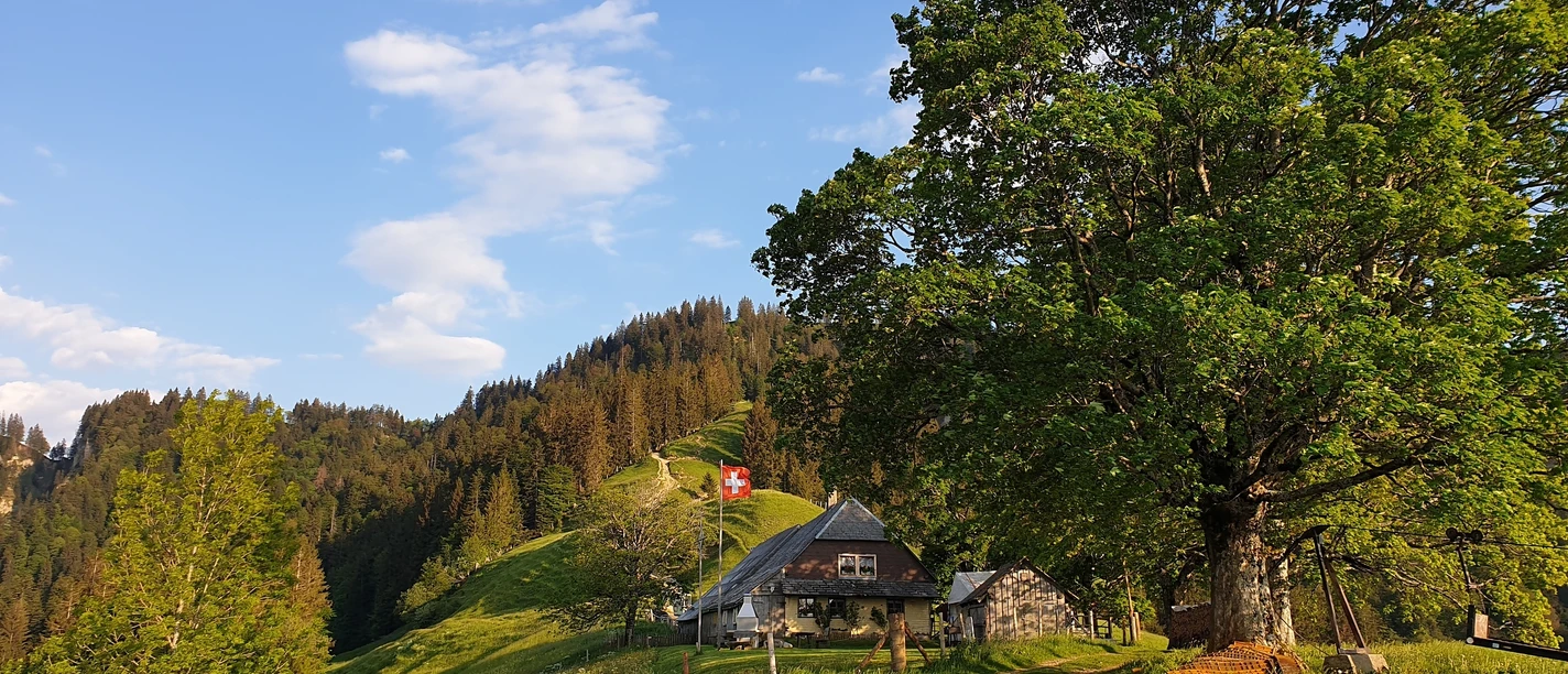 Alp Trachselegg