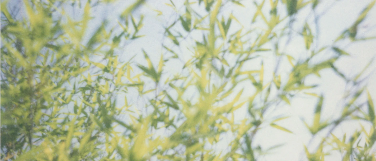 Cécile Wick, Sommerstille, 2025, Pigment-Druck auf Moab Entrada Natural-Papier, 112.5 x 89 cm, Druckatelier Tom Blaess, Bern © Cécile Wick