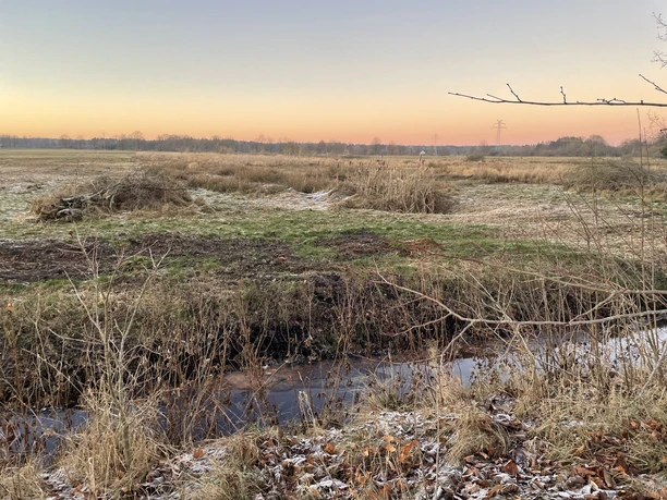Frostige Moorwiese mit Graben, Schilf und weitem Himmel im Abendlicht.