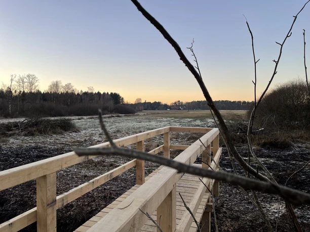 Holzsteg über feuchtes Moor mit frostigen Wiesen und Wald im Abendlicht.