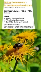 Poster zur Einladung Samenrückschnitt Hummelwerkstatt