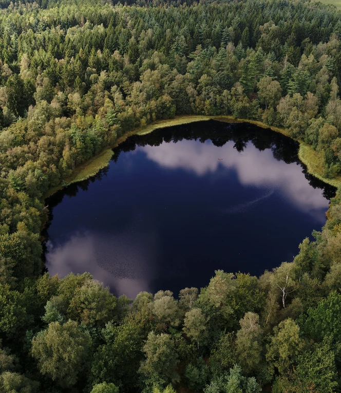 2 Silbersee Foto Schüring.JPG