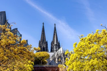 Blick auf den Kölner Dom Kölner Dom mit markanten Türmen, eingerahmt von Bäumen unter blauem Himmel