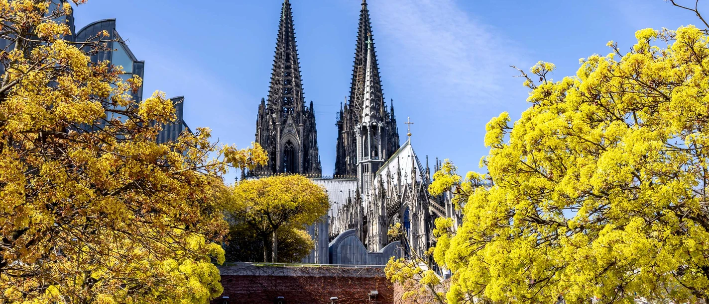 Blick auf den Kölner Dom Kölner Dom mit markanten Türmen, eingerahmt von Bäumen unter blauem Himmel