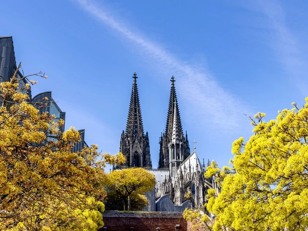 Blick auf den Kölner Dom Kölner Dom mit markanten Türmen, eingerahmt von Bäumen unter blauem Himmel