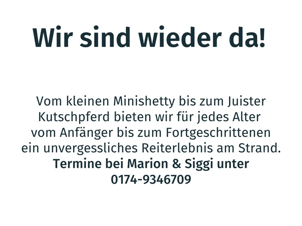 reiten auf juist