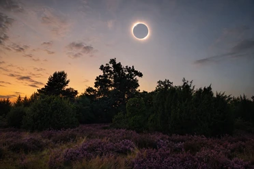Sonnenfinsternis im Heiligen Hain.png