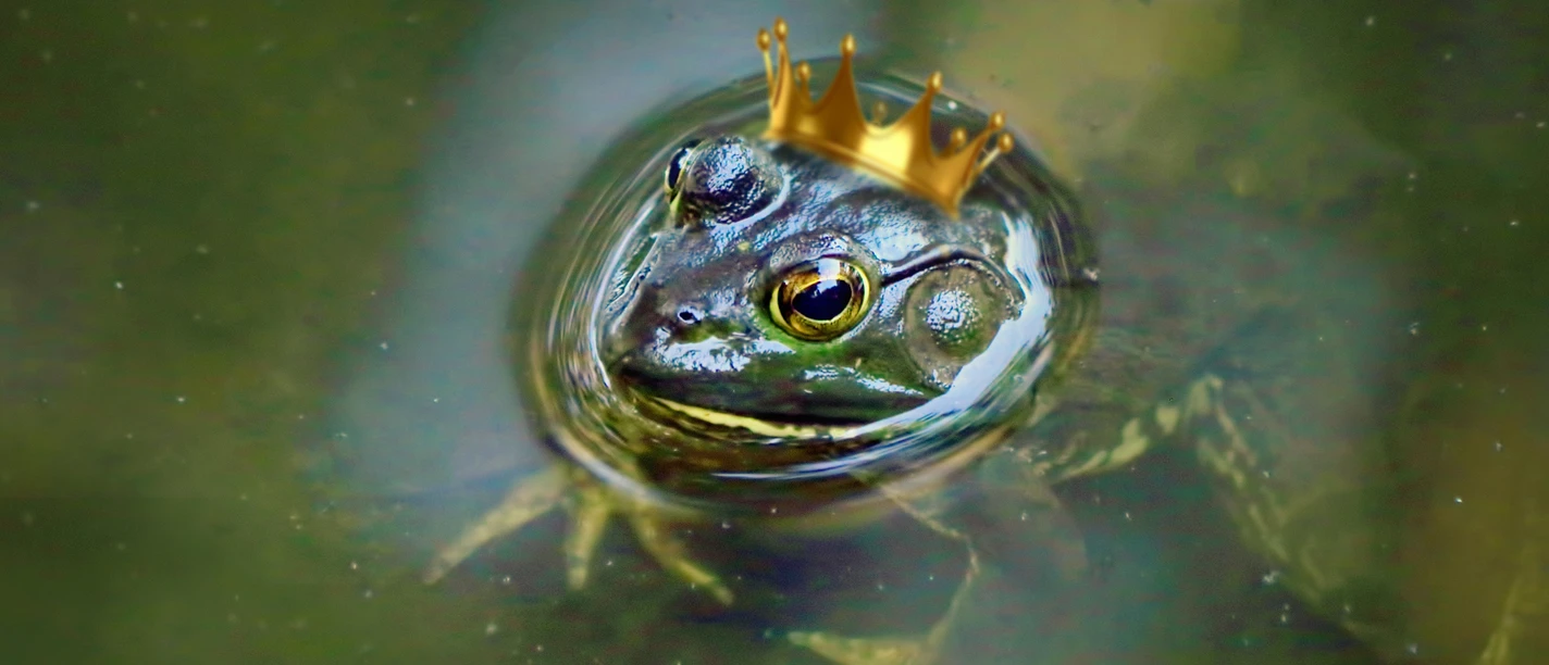 dawnhoweth-frog-prince-2665403.jpg