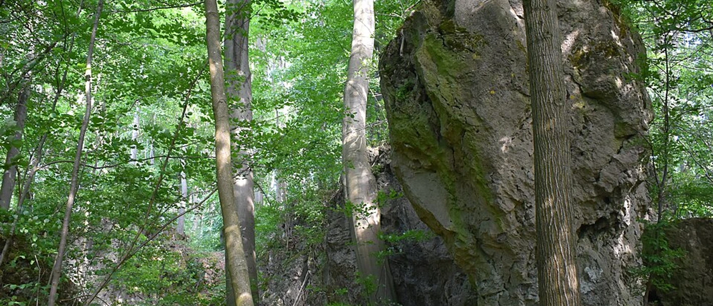 Westersteine_bei_Bartolfelde_Westseite_0935_c_Migebert_Wikipedia.jpg