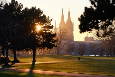 Cyclists in Rheinpark Sunset in Rheinpark with the silhouette of Cologne Cathedral and a cyclist on the path